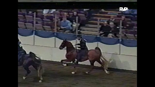 2004 American Royal - 5 Gaited Grand ...