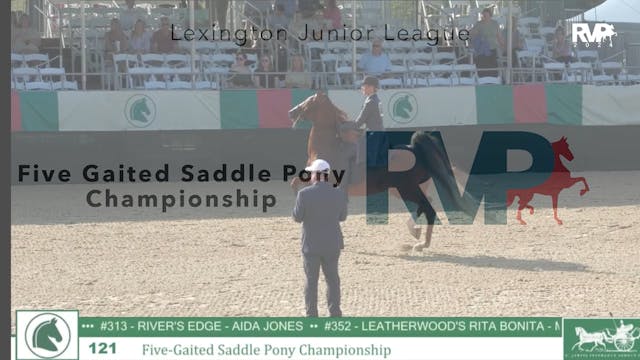 LJL24 - Class 121 - Five Gaited Saddl...