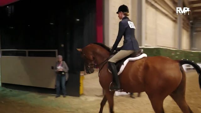 AN25 - Class 1173.1 - HA-AA Hunter Pl...