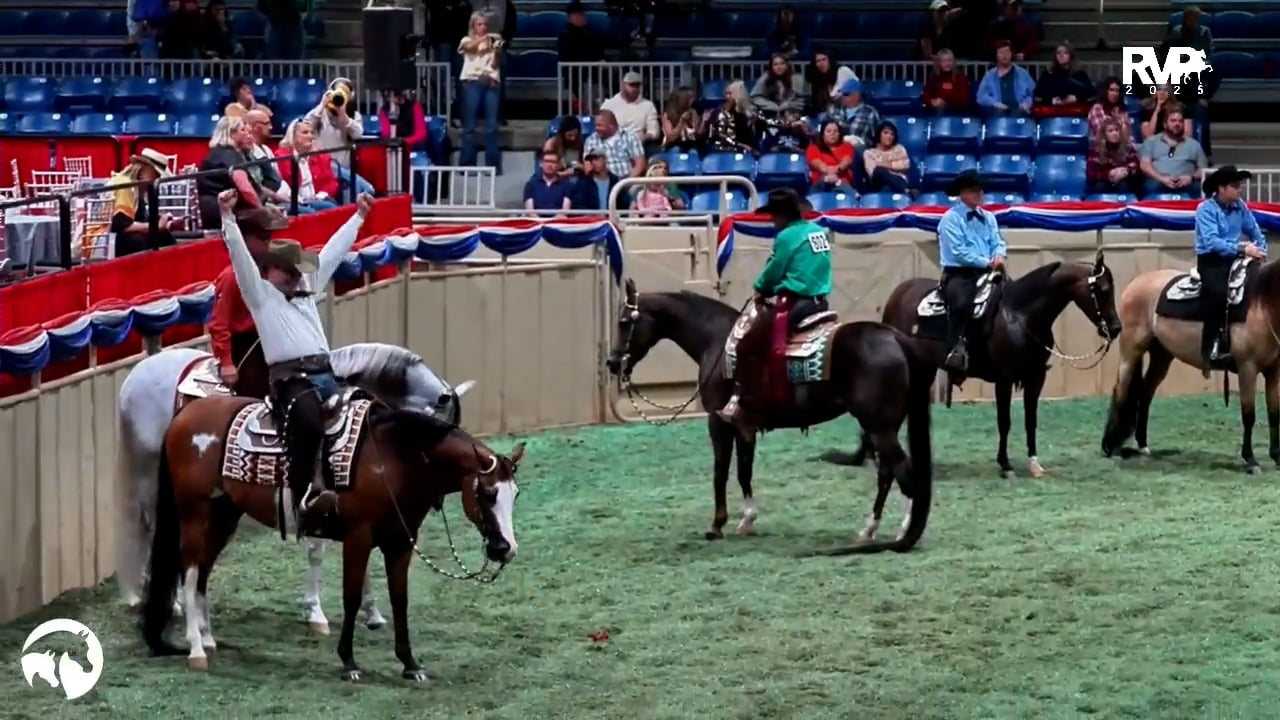 2025 Arabian Nationals - First Thursday Evening - Pavilion