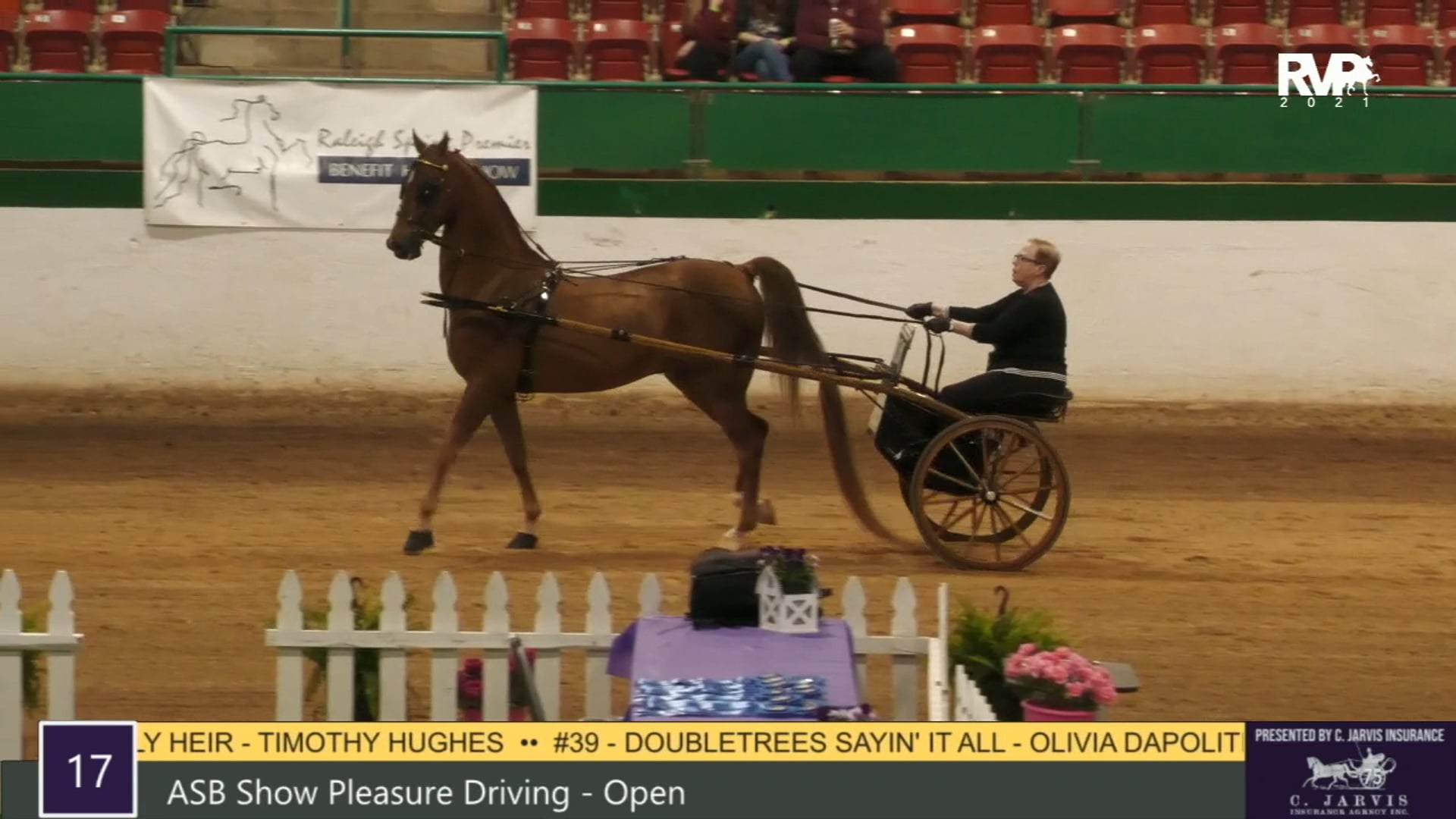 RSP21 - Class 17 - ASB Show Pleasure Driving 
Open