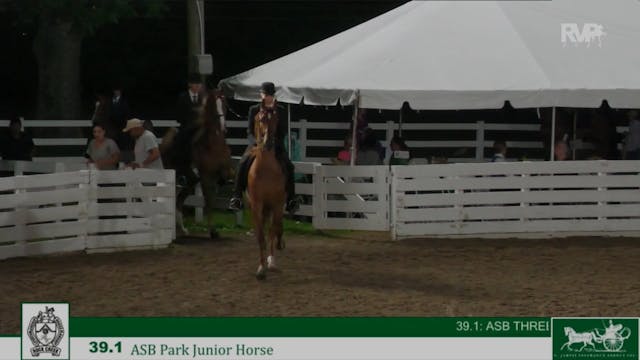 RC24 - Class 39.1 - ASB Park Jr Horse