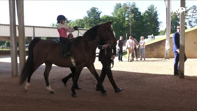 ASC24 - Class 99.1 - Lead Line-Walk O...