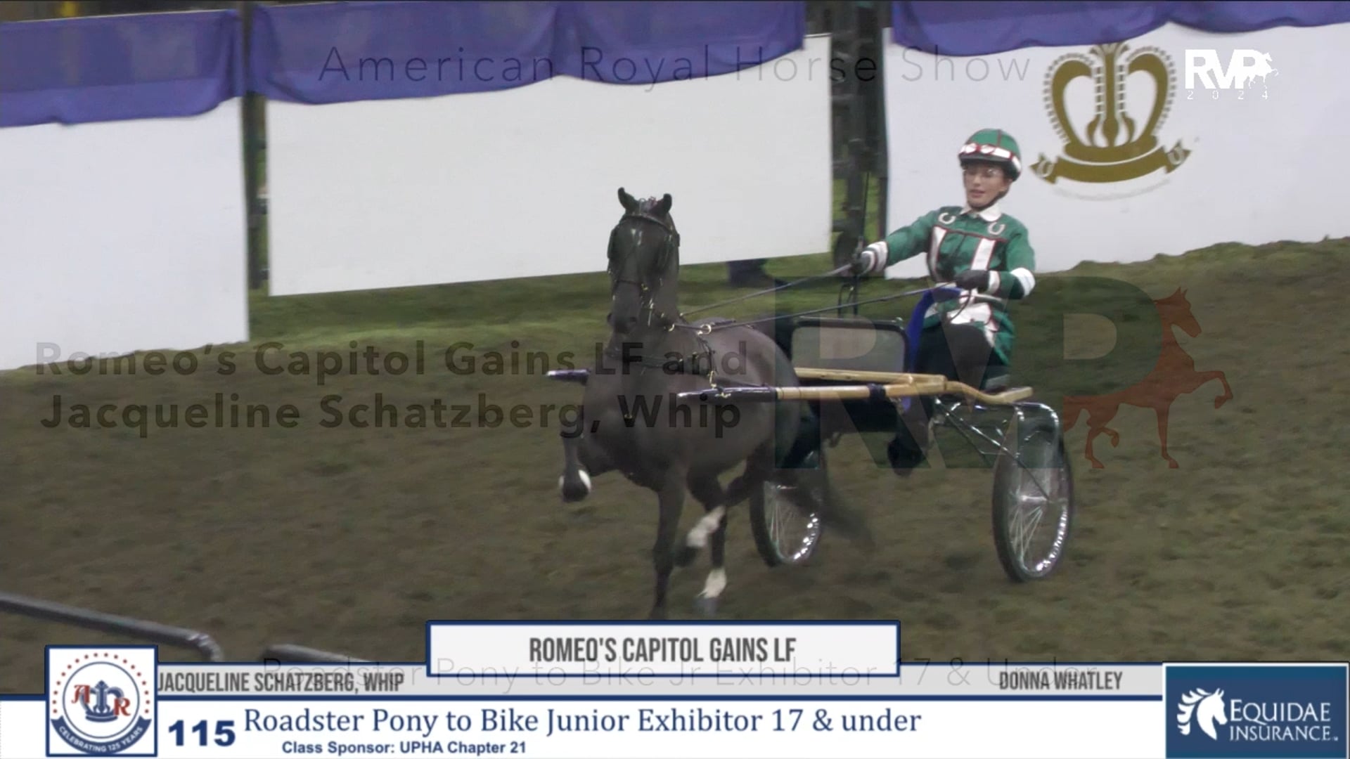 AR24 - Class 115 - Romeo's Capitol Gains LF and Jacqueline Schatzberg, Whip