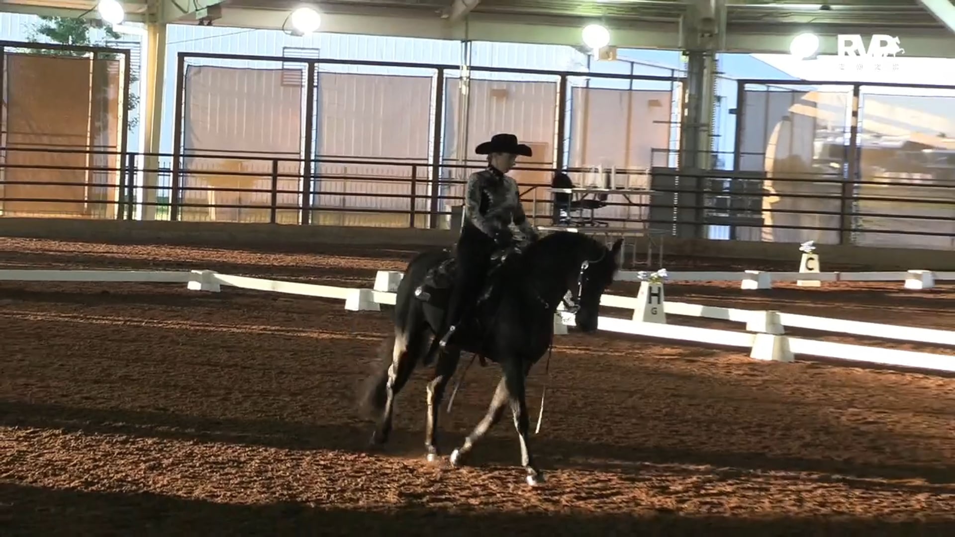 2020 MGN - 10:11 - Sunday - West Covered Arena - Part 1 of 2