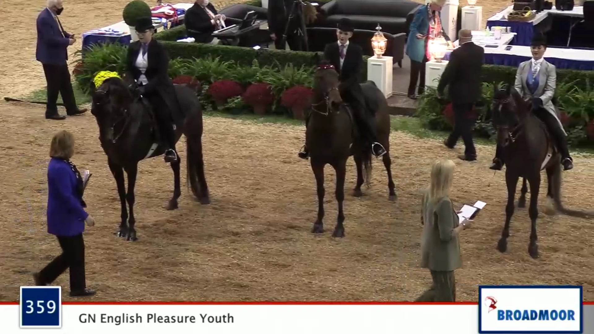 2020 MGN - 359 GN English Pleasure Youth