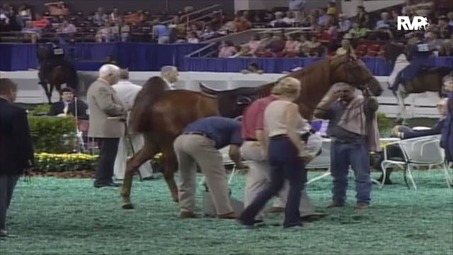 2006 WCHS Class 34 Equitation Open Ri...