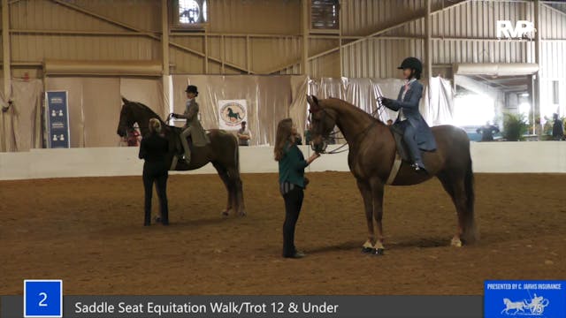 GASP21 - Class 2 - Saddle Seat Equita...