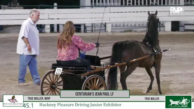 DC26 - Class 45.1 - Centurian's Jean ...