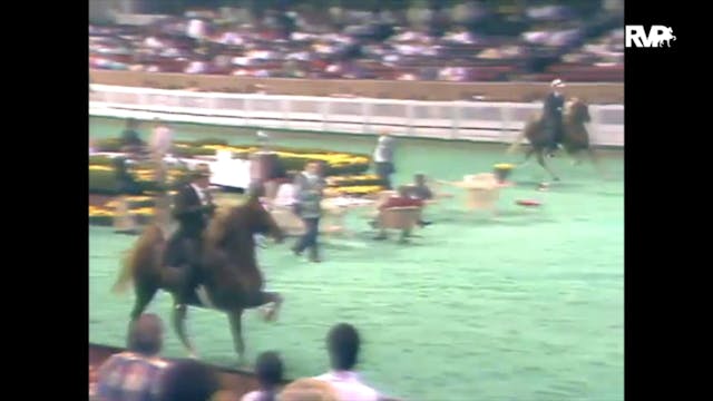 1989 WCHS Class 17 Junior Five Gaited...