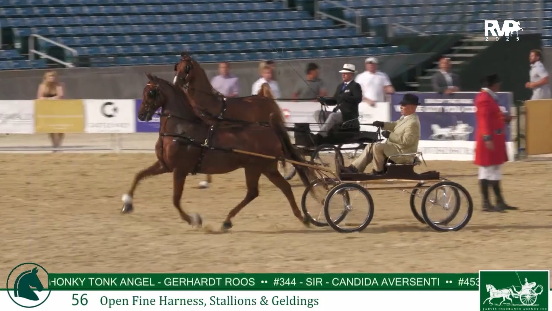 LJL25 - Class 56 - Open Fine Harness Stallions & Geldings