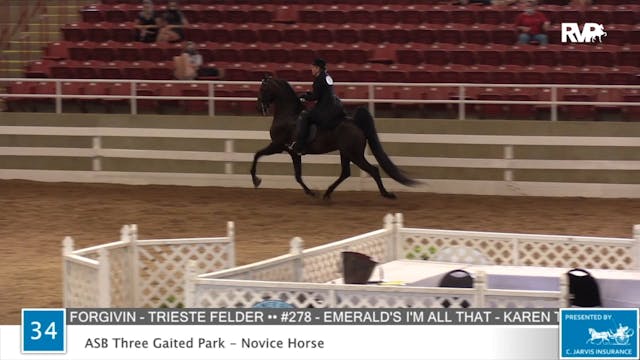 2020 ASF - Class 34 ASB Three Gaited ...