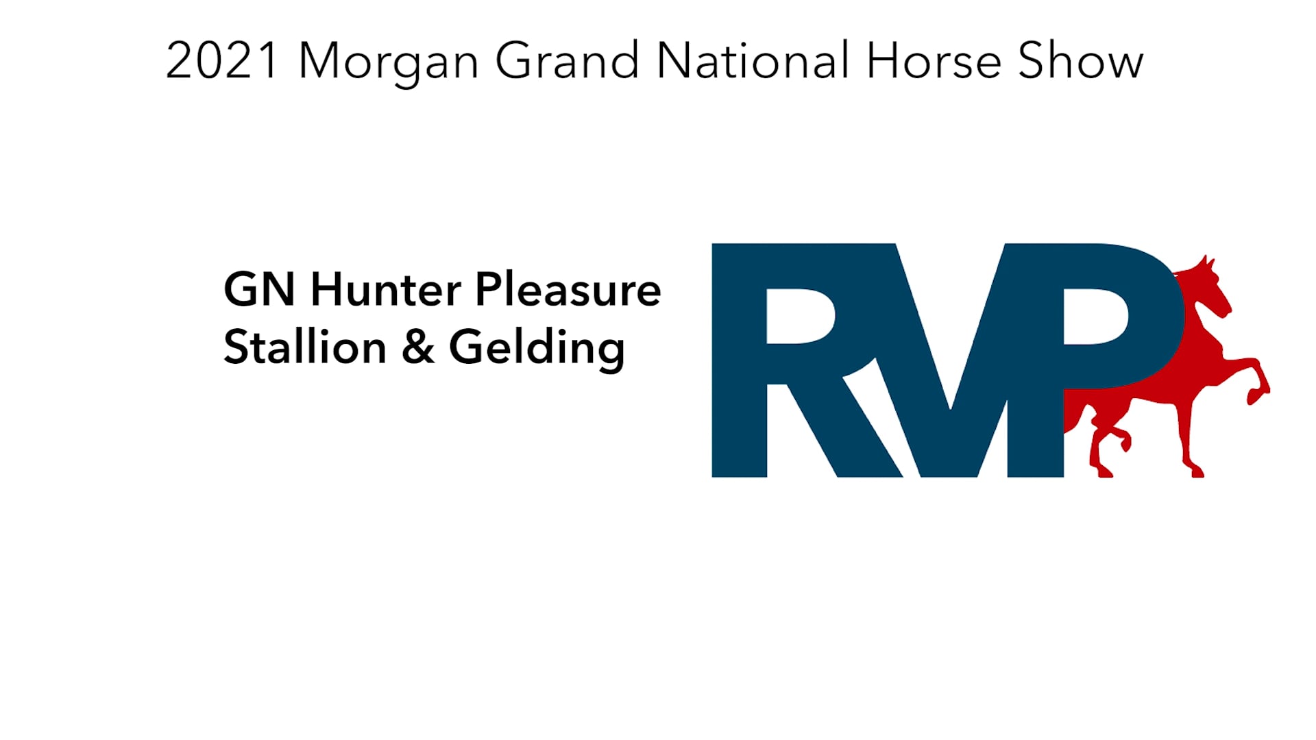 MGN21 - Class 91 - GN Hunter Pleasure Stallion & Gelding