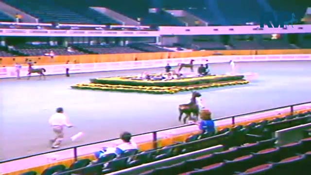 1987 WCHS - Class 72 - ASHA Amateur F...