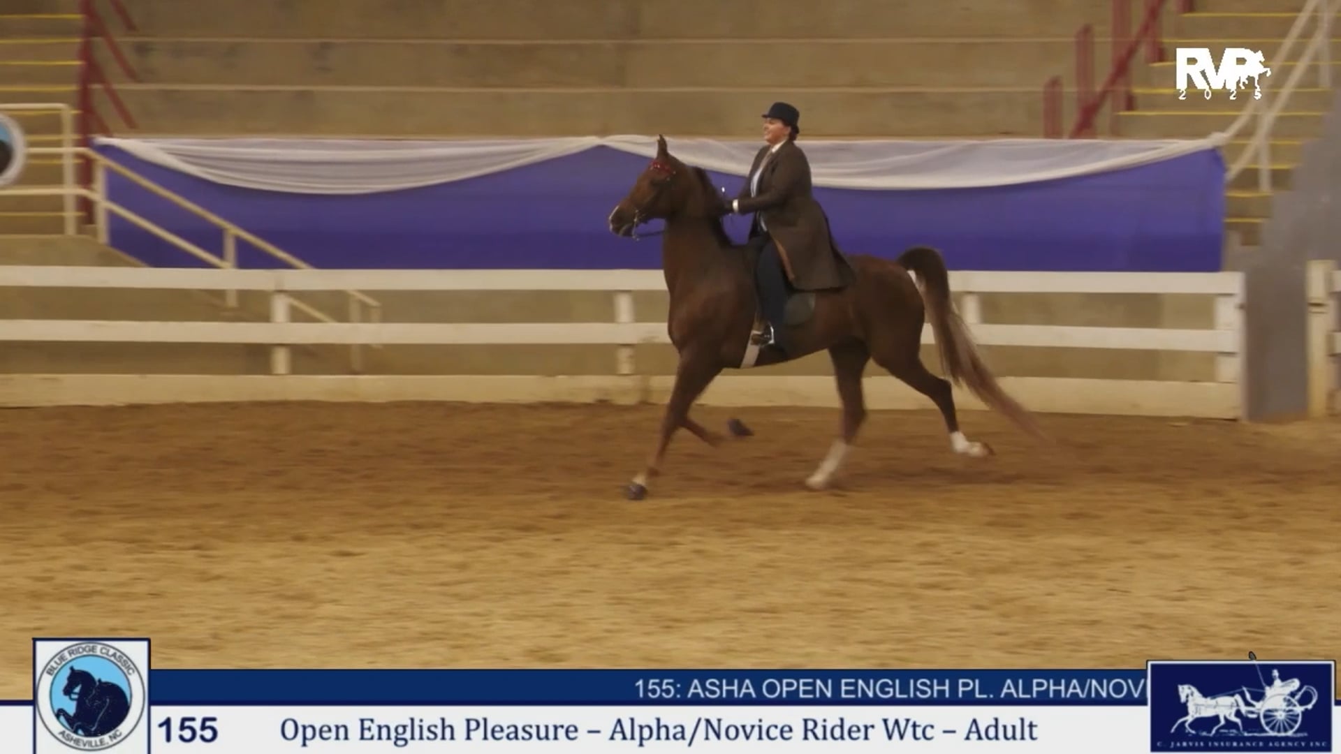 BRC25 - Class 155 - ASHA Open English Pleasure Alpha & Novice Rider WTC Adult