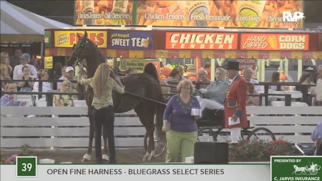 2016 RC - Class 39 Open Fine Harness ...
