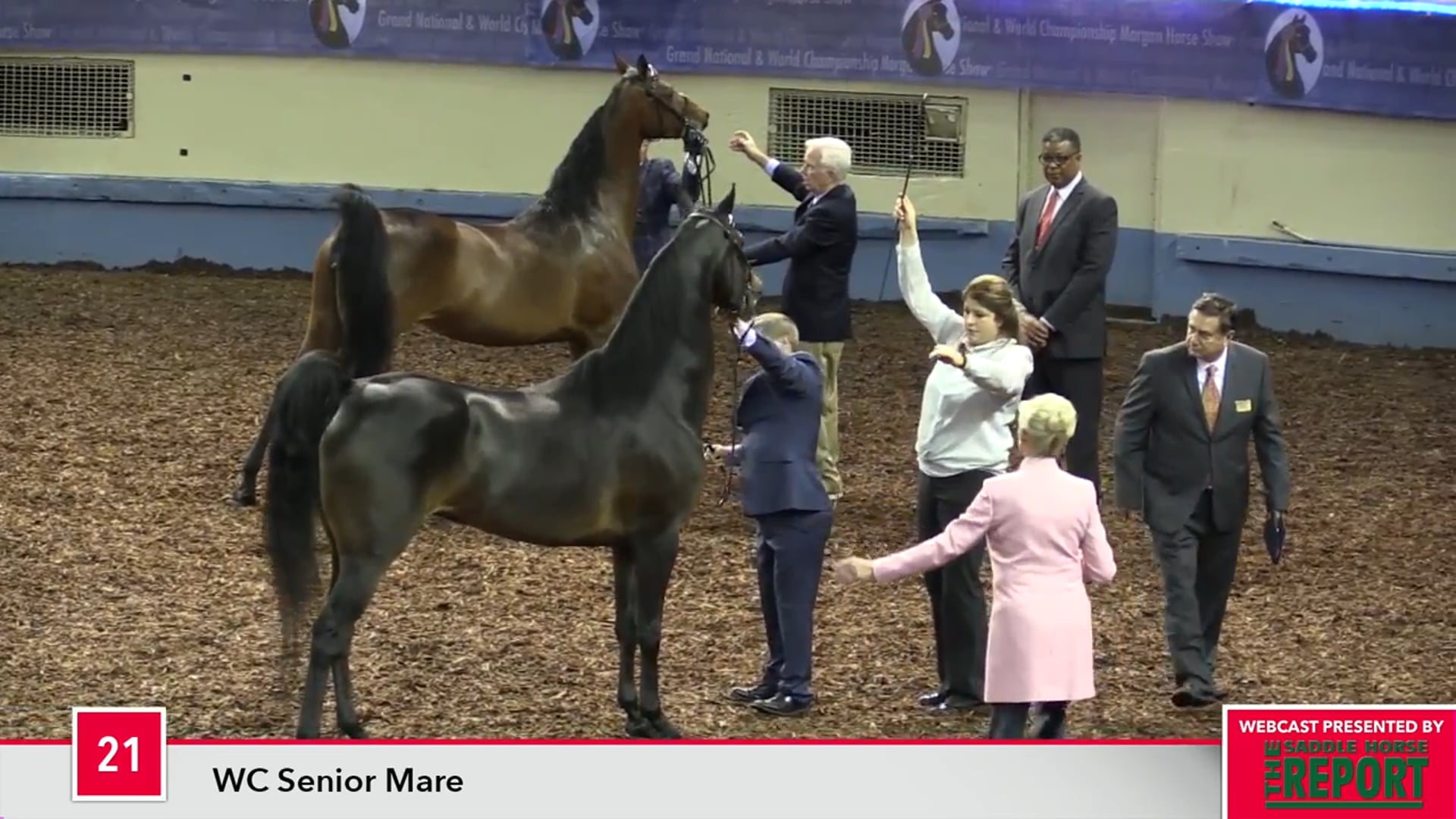 MGN17 - Class 21 WC Senior Mare