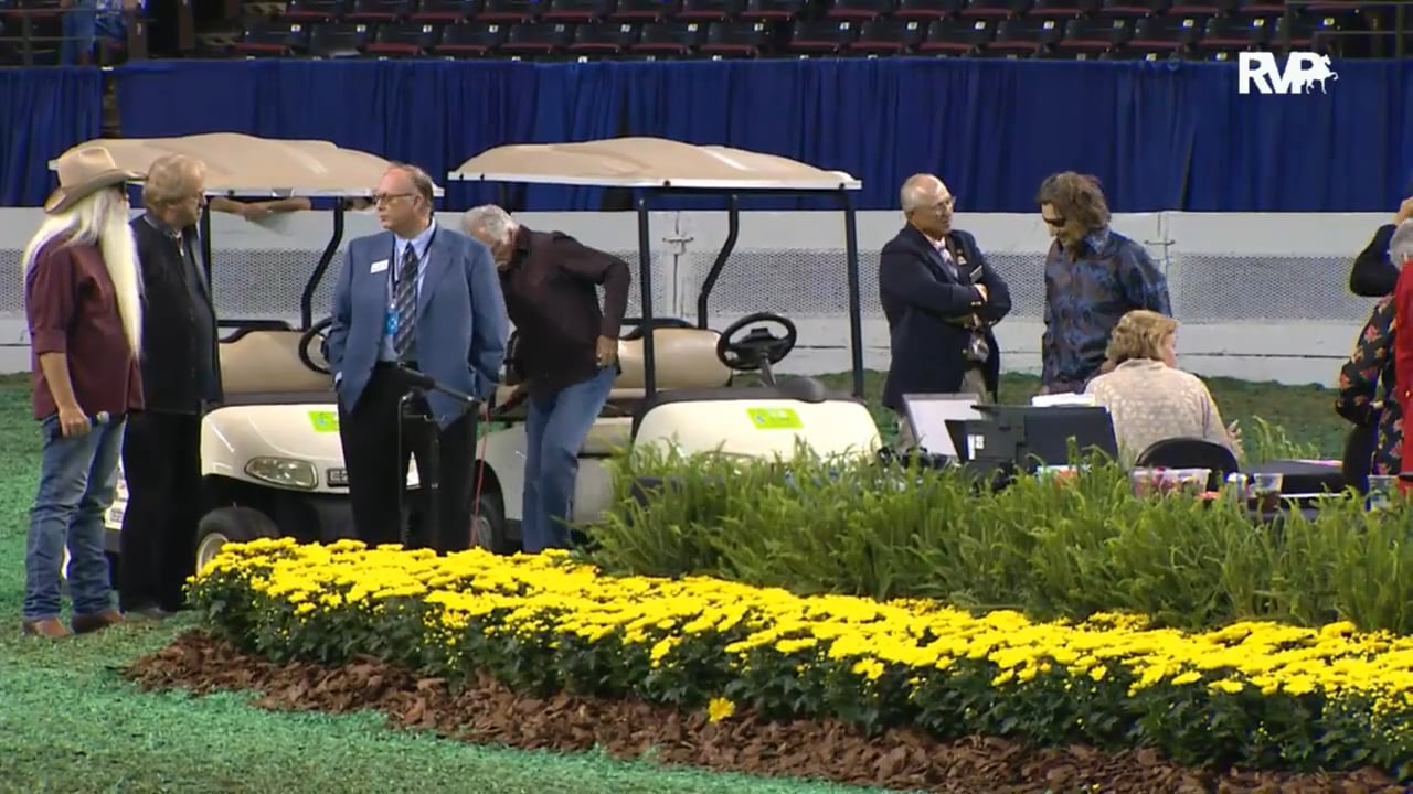 2015 World's Championship Horse Show - Sunday Evening