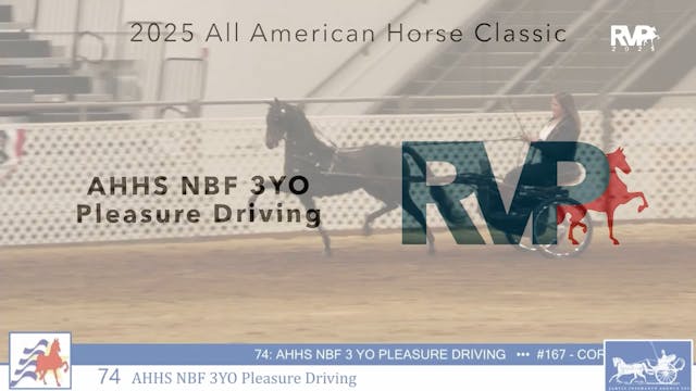 AAC25 - Class 74 - AHHS NBF 3YO Pleas...