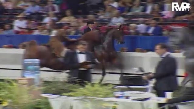 2004 World's Championship Horse Show ...