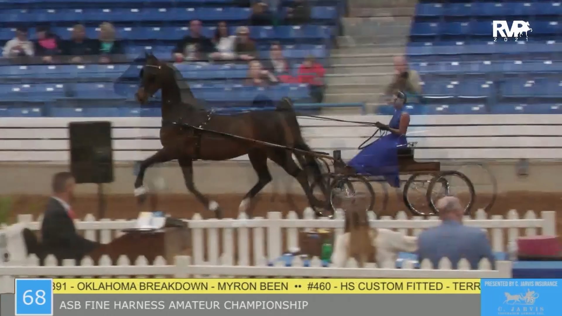 SSSF21 - Class 68 - ASB Amateur Fine Harness Championship