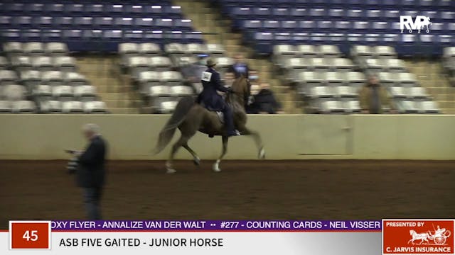 2020 SSFF - Class 45 ASB Five Gaited ...