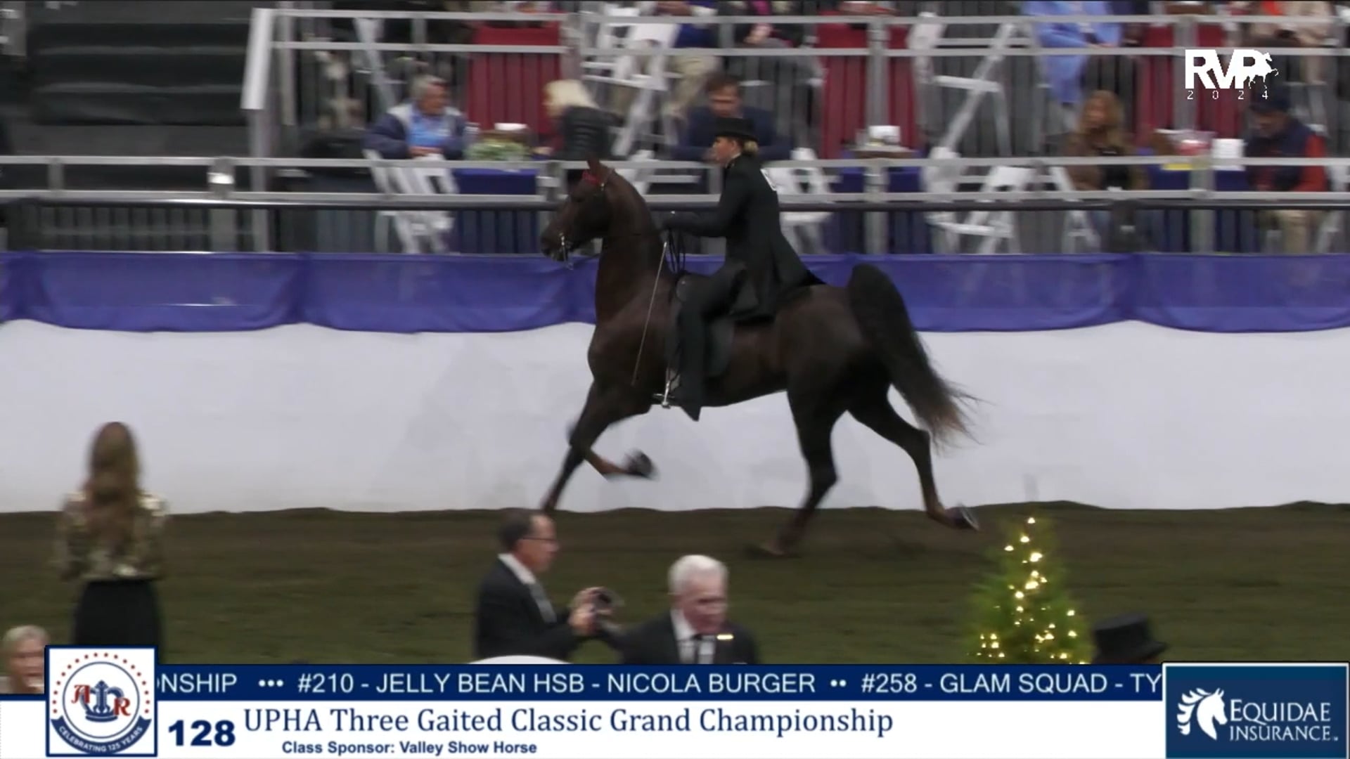 AR24 - Class 128 - UPHA Three Gaited Classic Grand Championship