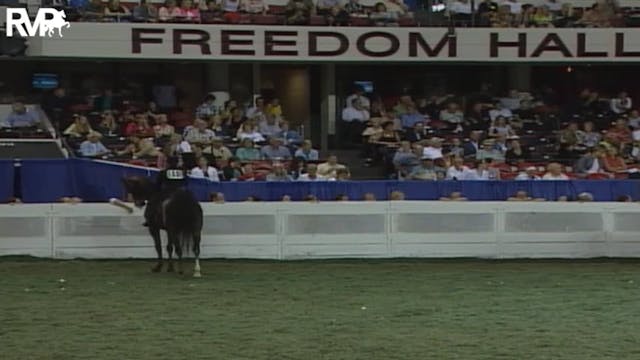 2004 World's Championship Horse Show ...