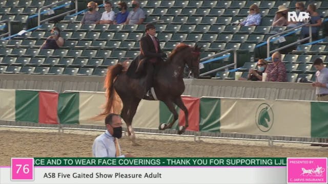 2020 LJL - Class 76 ASB Five Gaited S...