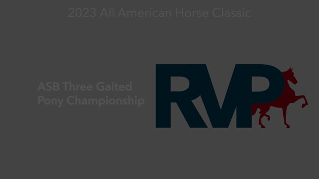 ASHAV23 - Class 101 - ASB Three Gaited Pony Championship