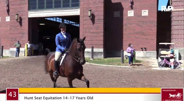 2020 Regional Jubilee Morgan Horse Sh...