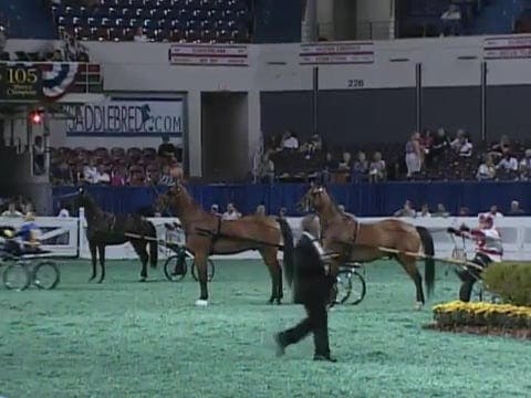 2008 WCHS Class 8 County Fair Road Ho...