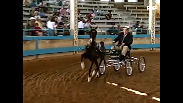 2001 Des Moines Springfest - The Final Contender and Todd Gordon, whip