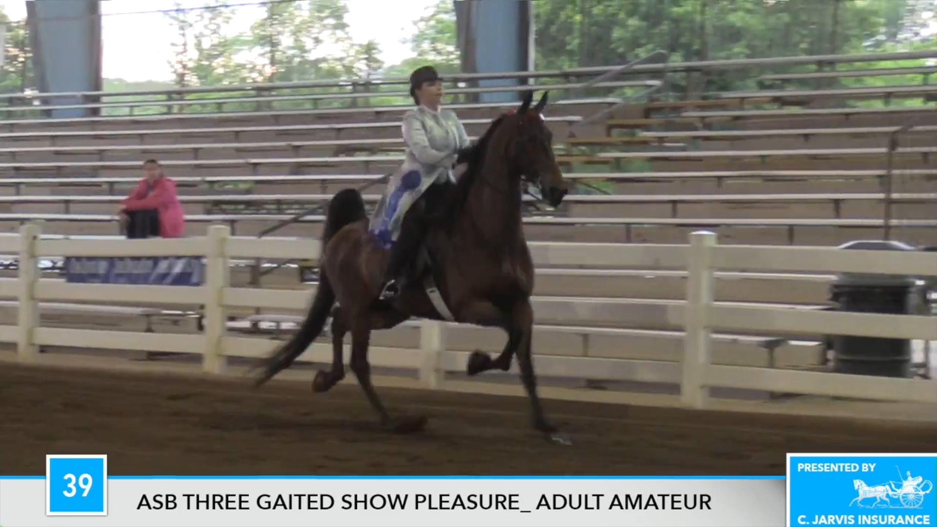 DC17 - Annie's Perfect Design 