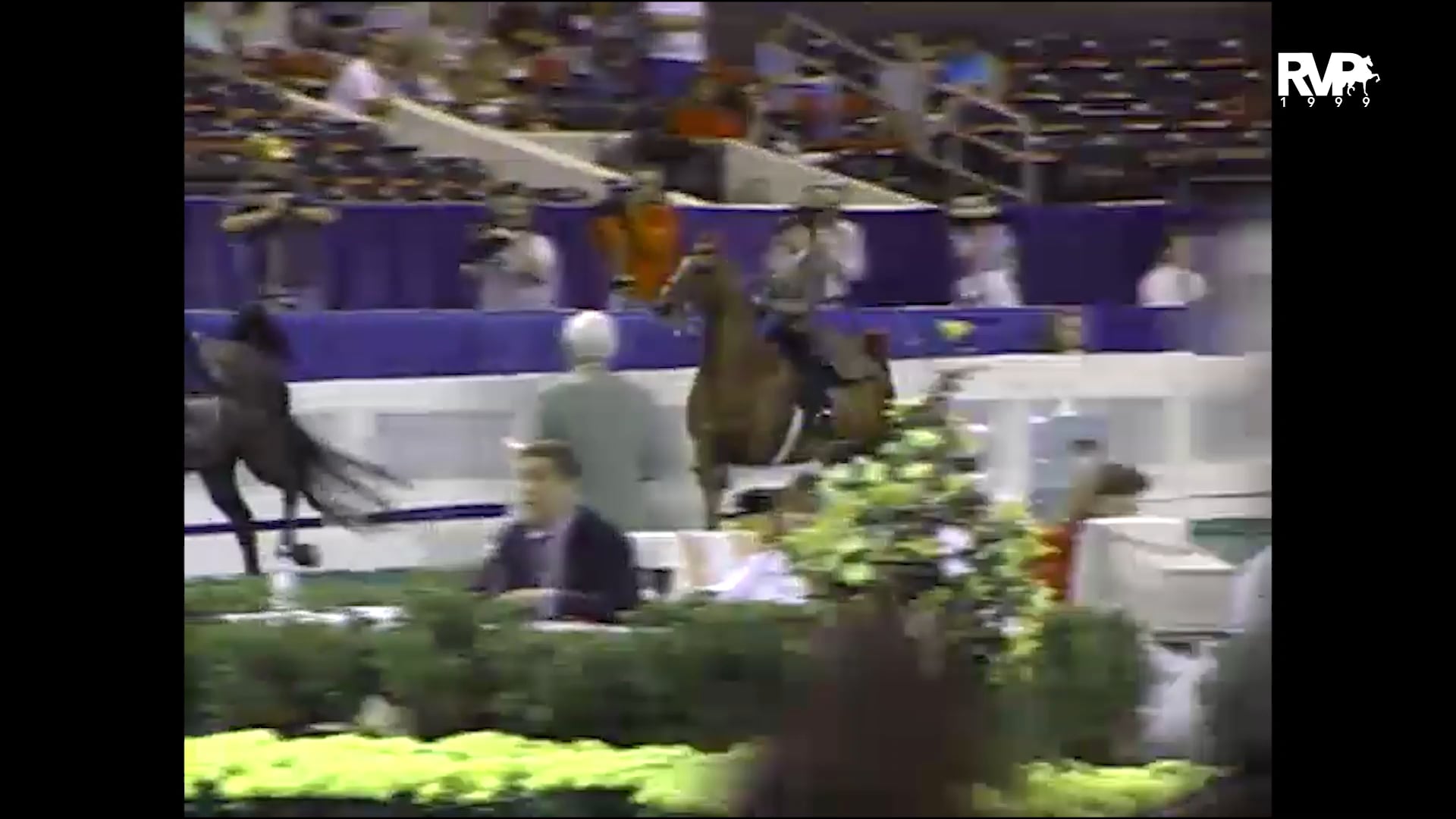 1999 WCHS - Class 28 Junior Exhibitor Three Gaited Stake 11 & Under