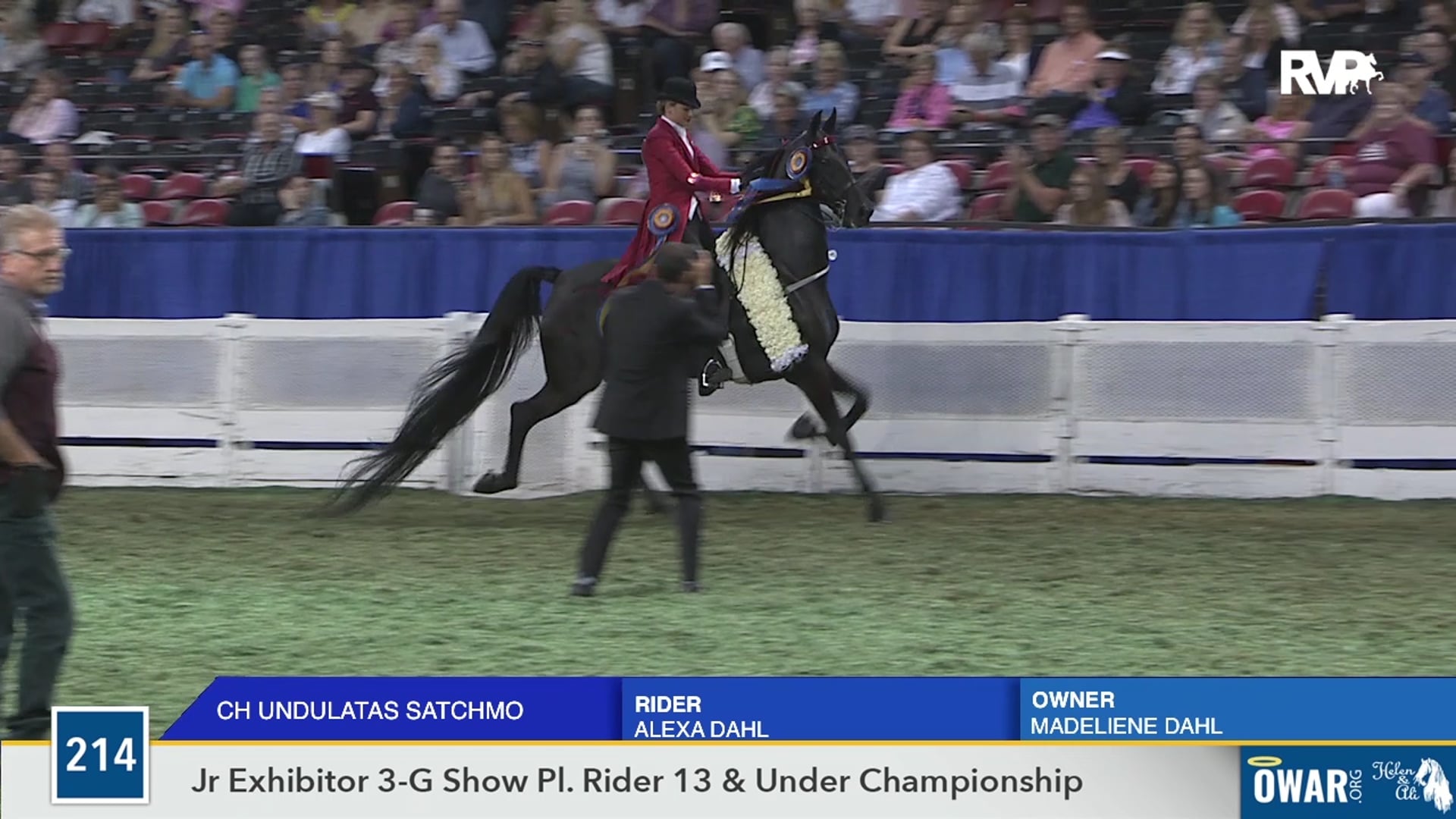 WCHS19 - Class 214 - Undulata's Satchmo