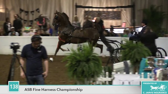 GASP17 - Nutter Butter - Championship