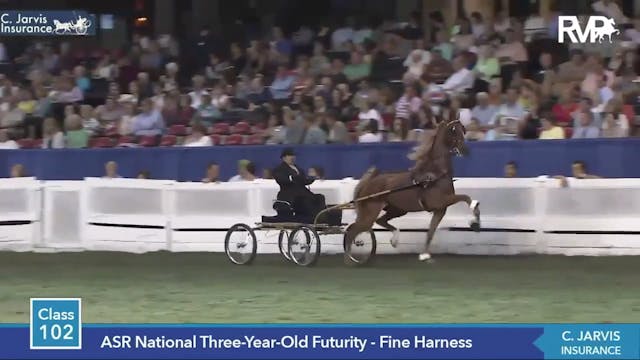 2014 - 2016 WCHS Three Year Old Fine ...