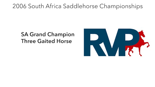 2006 South Africa Saddlehorse Champio...