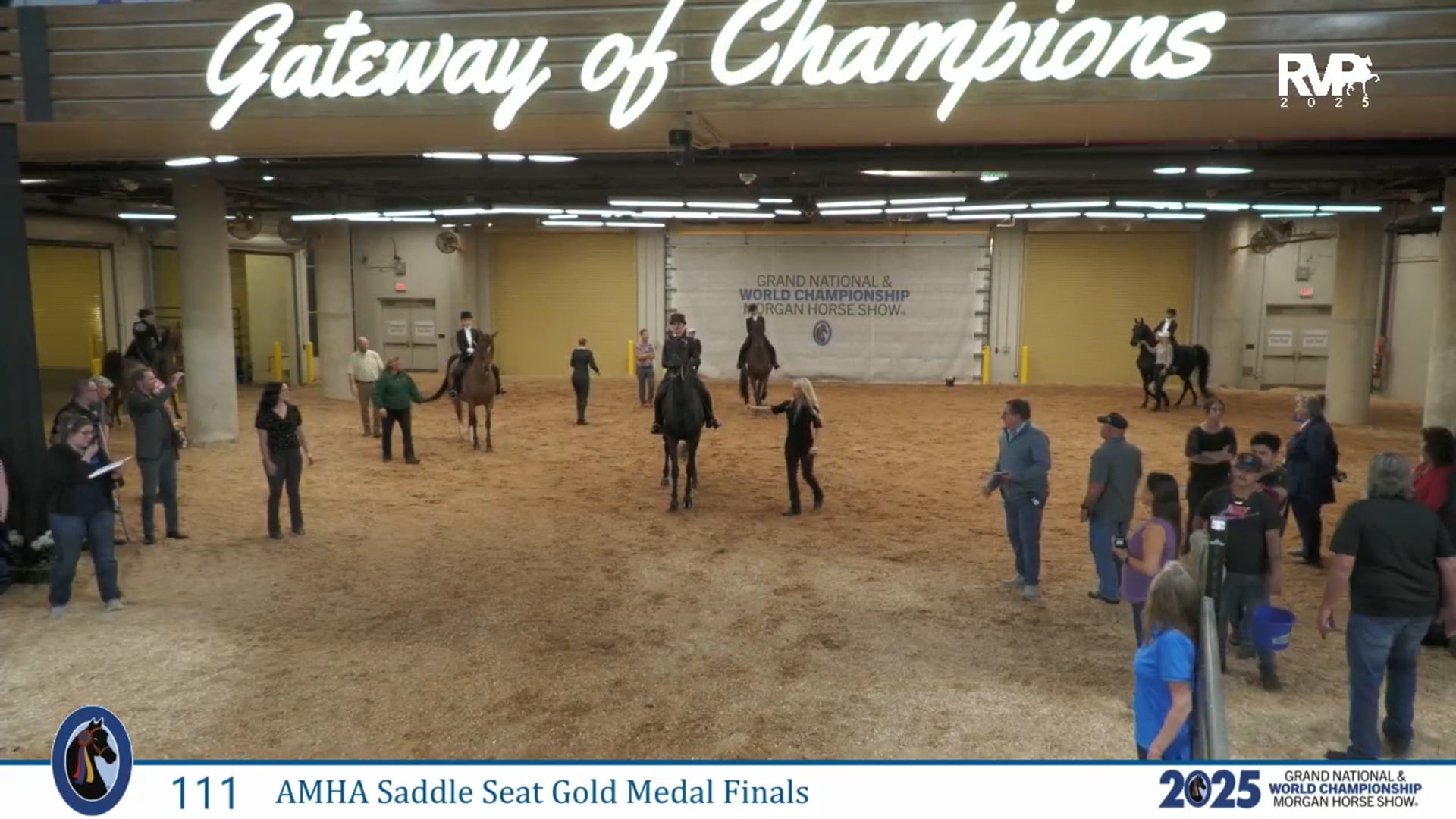 MGN25 - Class 111 - AMHA Saddle Seat Gold Medal Finals