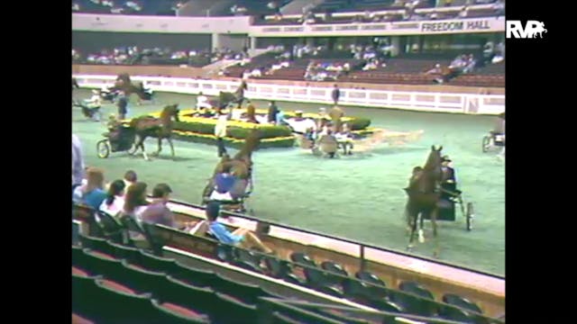 1988 WCHS Class 97 Pleasure Driving D...