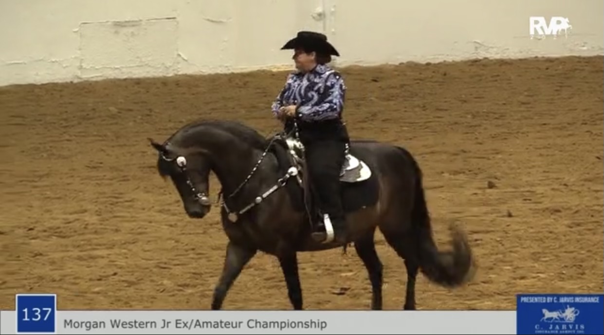 BB21 - Class 137 - Amateur-Junior Exhibitor Morgan Western Pleasure Championship