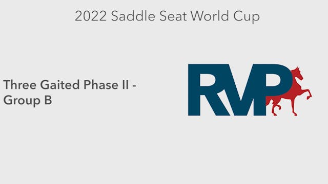 2022 Saddle Seat World Cup - Three Ga...