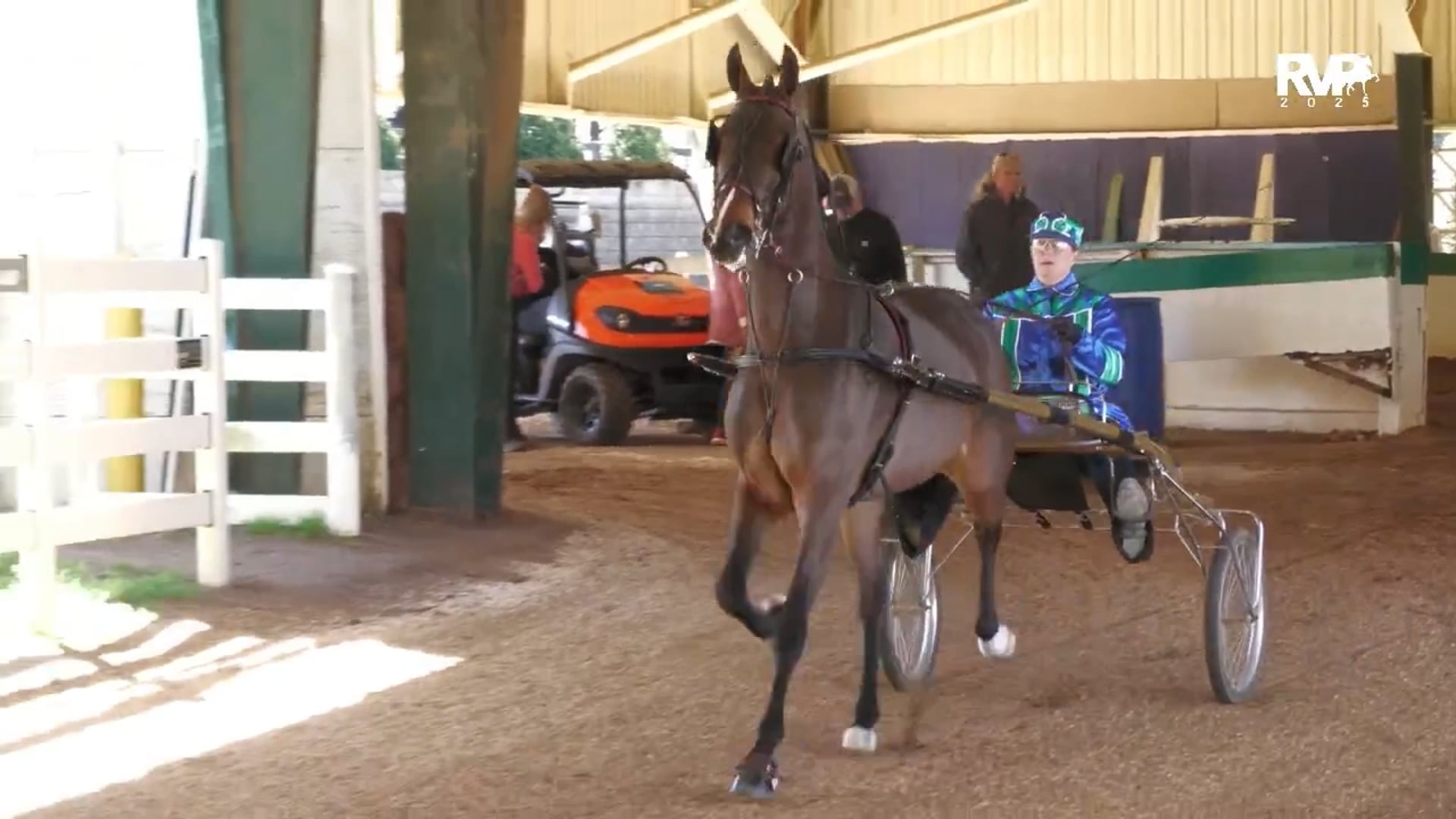 RSP25 - Class 79 - Roadster to Bike Limit Horse