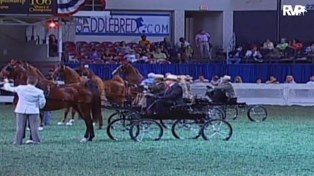 2009 World's Championship Horse Show ...