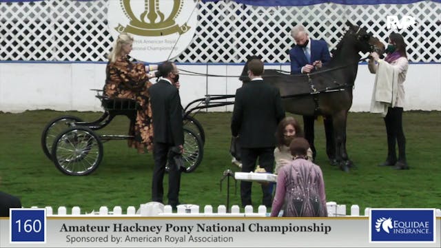 2020 AR - Class 160 Amateur Hackney P...
