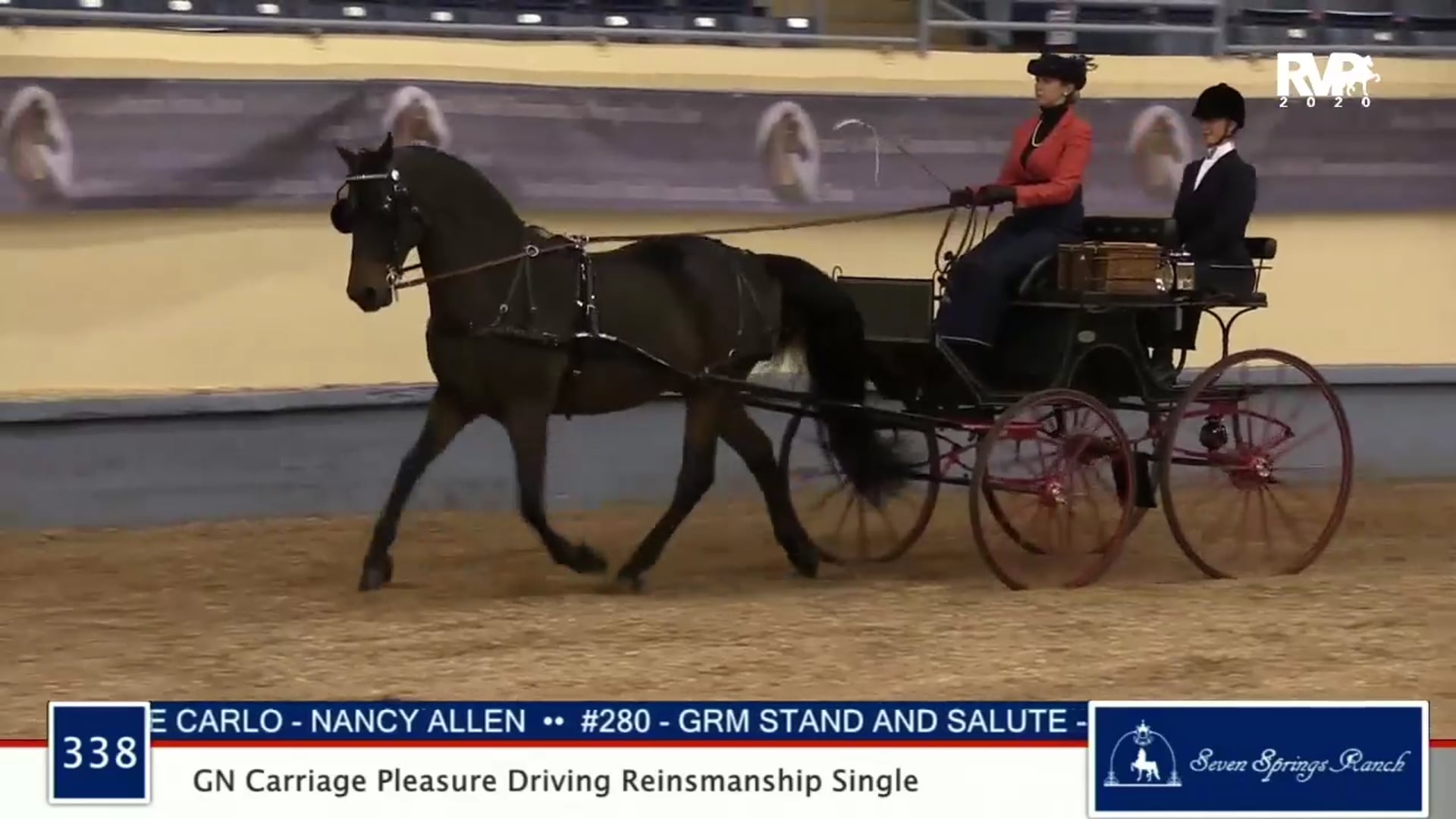 2020 MGN - 338 GN Carriage Pleasure Driving Reinsmanship Single