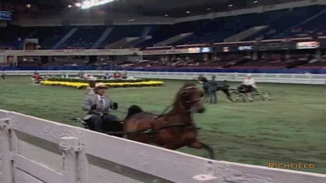 2002 WCHS Class 153 Junior Hackney Po...