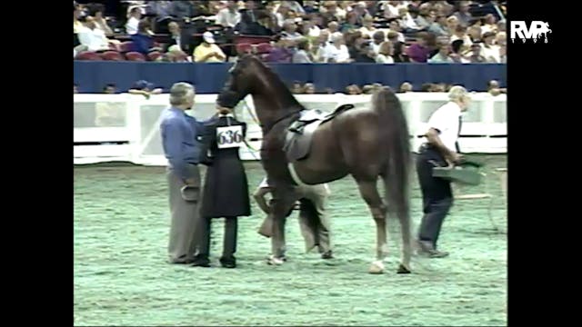 1998 WCHS - Class 157 Five Gaited Pon...