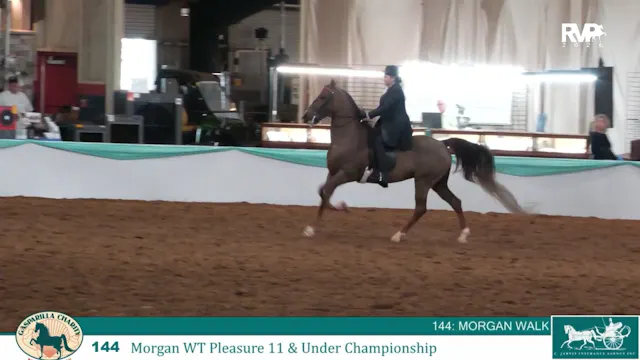 GC26 - Class 144 - Morgan WT Pleasure...